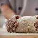 Lange Teigführung Besser verträgliches Brot