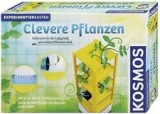 Pflanzen Experimentierkasten